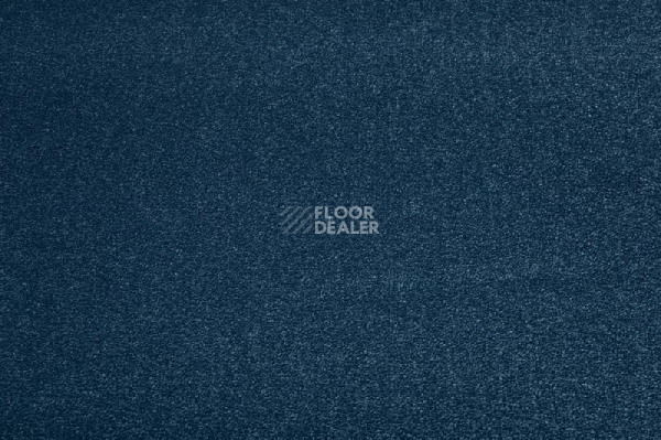 Ковролин Condor  Magic 46 фото 1 | FLOORDEALER